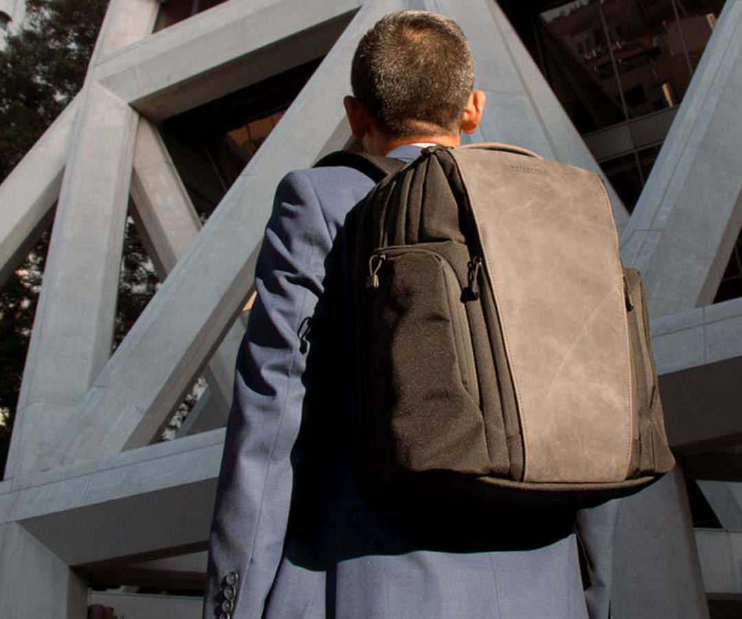 Pro Executive BackpackBest Laptop Backpacks for TravelCNET