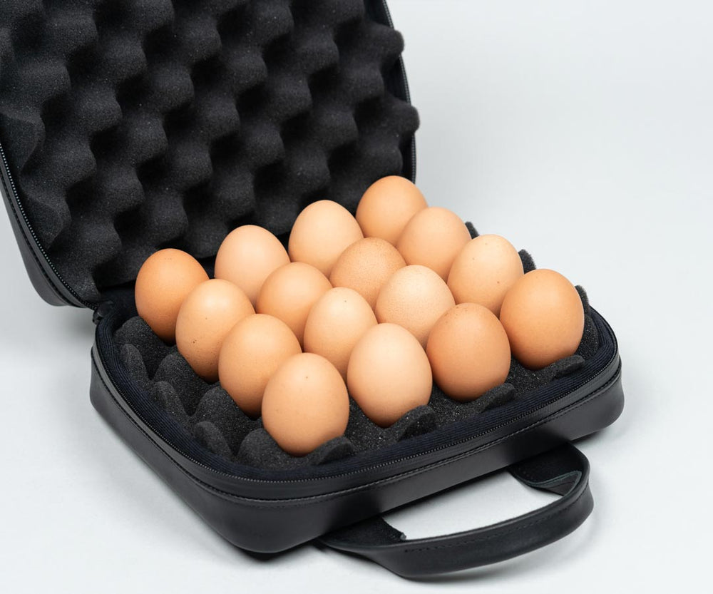 Eggsecutive Case